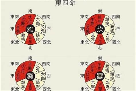 东四宅 西四宅|如何简单理解周易中的东四宅和西四宅，都适合什么人居住？